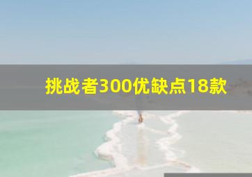 挑战者300优缺点18款