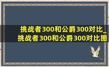 挑战者300和公爵300对比_挑战者300和公爵300对比图片