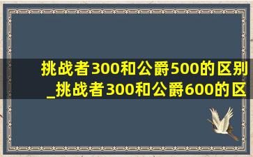 挑战者300和公爵500的区别_挑战者300和公爵600的区别