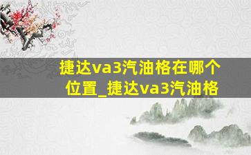 捷达va3汽油格在哪个位置_捷达va3汽油格