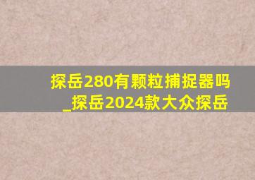 探岳280有颗粒捕捉器吗_探岳2024款大众探岳