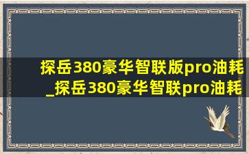 探岳380豪华智联版pro油耗_探岳380豪华智联pro油耗