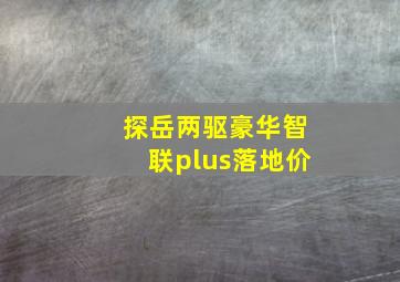 探岳两驱豪华智联plus落地价