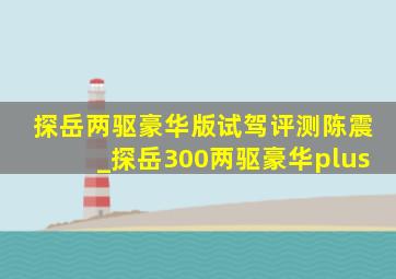 探岳两驱豪华版试驾评测陈震_探岳300两驱豪华plus