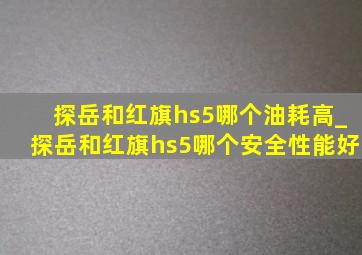 探岳和红旗hs5哪个油耗高_探岳和红旗hs5哪个安全性能好