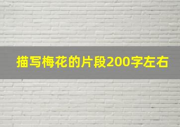 描写梅花的片段200字左右