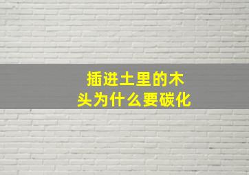 插进土里的木头为什么要碳化