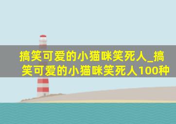 搞笑可爱的小猫咪笑死人_搞笑可爱的小猫咪笑死人100种