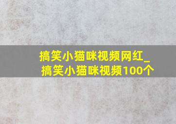 搞笑小猫咪视频网红_搞笑小猫咪视频100个