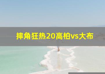 摔角狂热20高柏vs大布