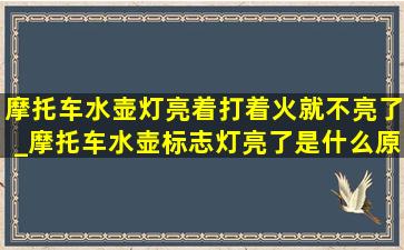 摩托车水壶灯亮着打着火就不亮了_摩托车水壶标志灯亮了是什么原因