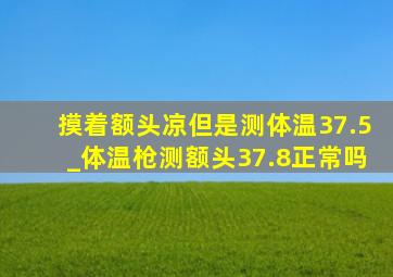 摸着额头凉但是测体温37.5_体温枪测额头37.8正常吗