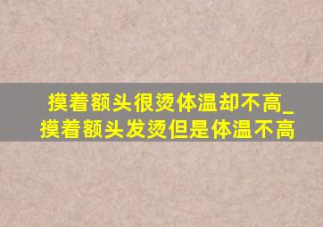 摸着额头很烫体温却不高_摸着额头发烫但是体温不高