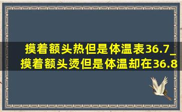 摸着额头热但是体温表36.7_摸着额头烫但是体温却在36.8度