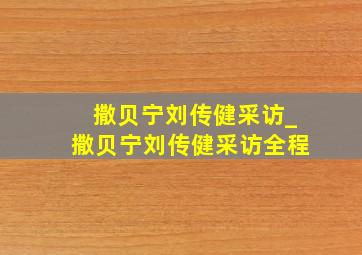 撒贝宁刘传健采访_撒贝宁刘传健采访全程