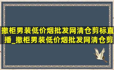 撤柜男装(低价烟批发网)清仓剪标直播_撤柜男装(低价烟批发网)清仓剪标直播羽绒服