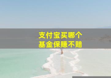 支付宝买哪个基金保赚不赔