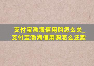 支付宝渤海信用购怎么关_支付宝渤海信用购怎么还款