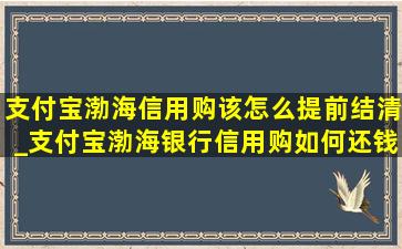 支付宝渤海信用购该怎么提前结清_支付宝渤海银行信用购如何还钱