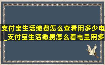 支付宝生活缴费怎么查看用多少电_支付宝生活缴费怎么看电量用多少