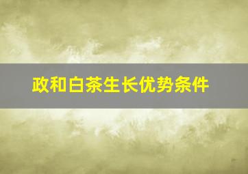 政和白茶生长优势条件