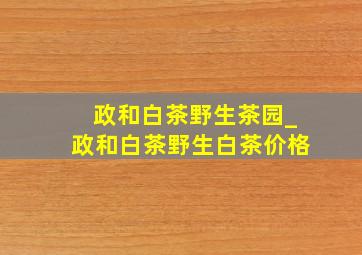 政和白茶野生茶园_政和白茶野生白茶价格