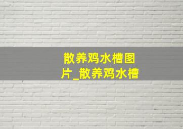 散养鸡水槽图片_散养鸡水槽