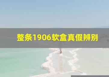 整条1906软盒真假辨别