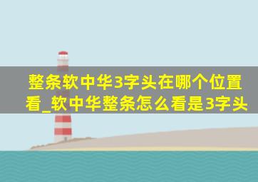 整条软中华3字头在哪个位置看_软中华整条怎么看是3字头