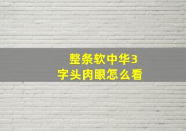 整条软中华3字头肉眼怎么看