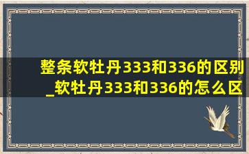 整条软牡丹333和336的区别_软牡丹333和336的怎么区别