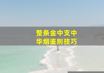 整条金中支中华烟鉴别技巧