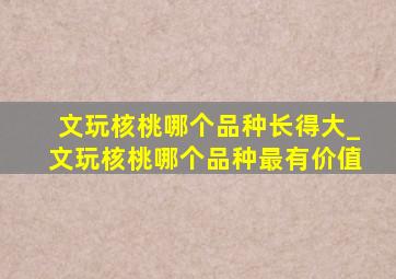 文玩核桃哪个品种长得大_文玩核桃哪个品种最有价值