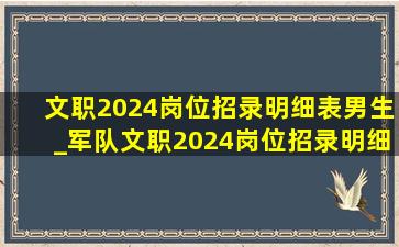 文职2024岗位招录明细表男生_军队文职2024岗位招录明细表