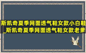 斯凯奇夏季网面透气鞋女款小白鞋_斯凯奇夏季网面透气鞋女款老爹鞋