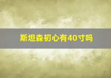 斯坦森初心有40寸吗