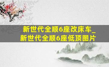 新世代全顺6座改床车_新世代全顺6座低顶图片