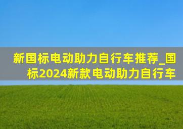 新国标电动助力自行车推荐_国标2024新款电动助力自行车