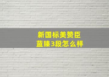 新国标美赞臣蓝臻3段怎么样