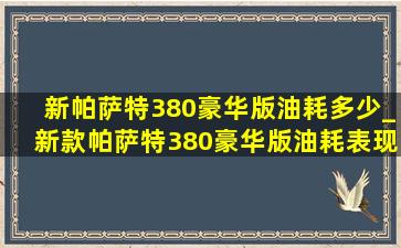 新帕萨特380豪华版油耗多少_新款帕萨特380豪华版油耗表现