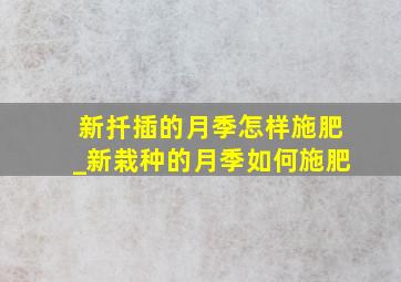 新扦插的月季怎样施肥_新栽种的月季如何施肥