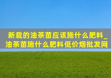 新栽的油茶苗应该施什么肥料_油茶苗施什么肥料(低价烟批发网)