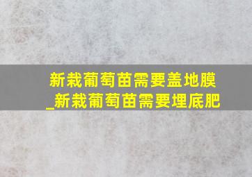 新栽葡萄苗需要盖地膜_新栽葡萄苗需要埋底肥