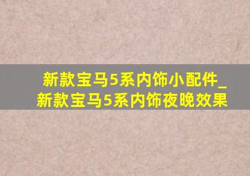 新款宝马5系内饰小配件_新款宝马5系内饰夜晚效果