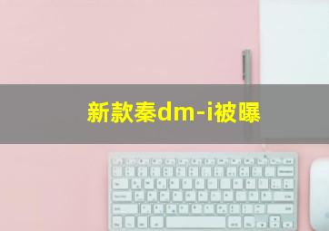 新款秦dm-i被曝