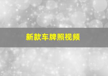 新款车牌照视频