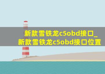 新款雪铁龙c5obd接口_新款雪铁龙c5obd接口位置