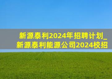 新源泰利2024年招聘计划_新源泰利能源公司2024校招