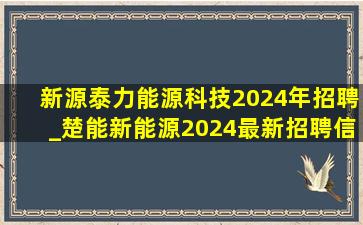 新源泰力能源科技2024年招聘_楚能新能源2024最新招聘信息