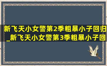 新飞天小女警第2季粗暴小子回归_新飞天小女警第3季粗暴小子回归